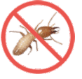 No Termites!