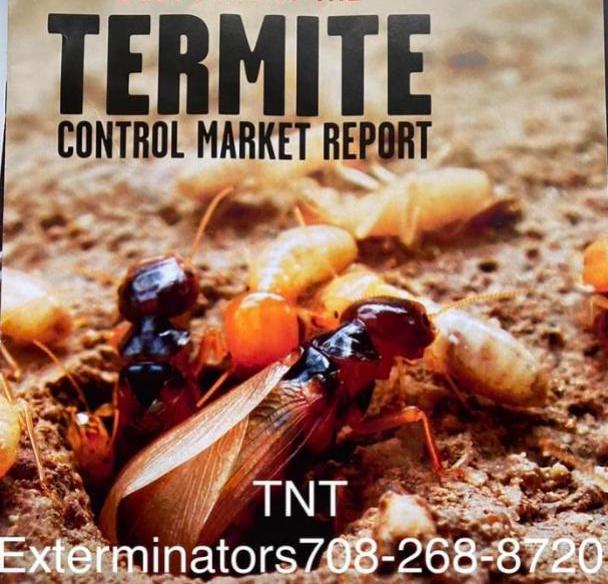 No Termites!
